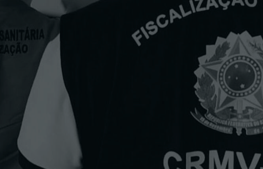 Fiscalização