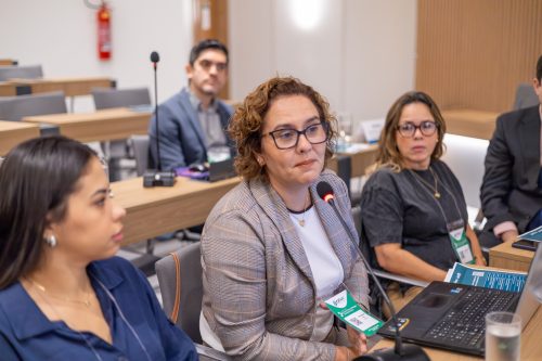 IMG 0238-Aprimorado-NR