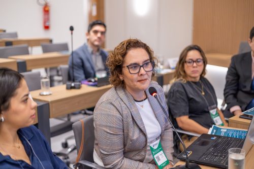 IMG 0242-Aprimorado-NR