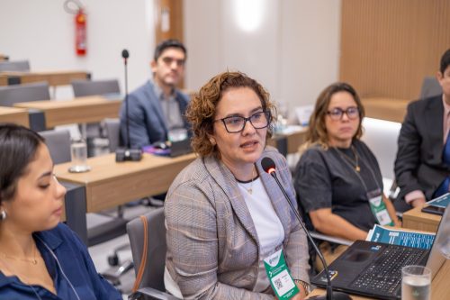 IMG 0243-Aprimorado-NR