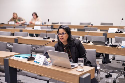 IMG 0365-Aprimorado-NR